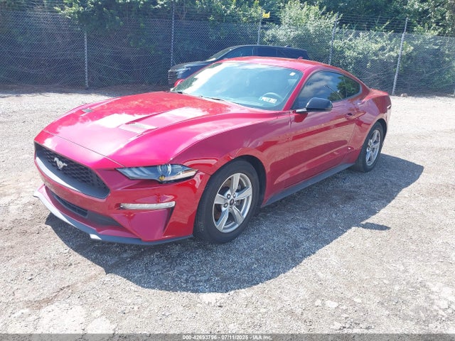 Ford Mustang 2020 1FA6P8TH2L5159251 Image 2
