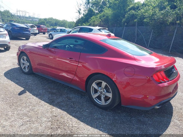 Ford Mustang 2020 1FA6P8TH2L5159251 Image 3