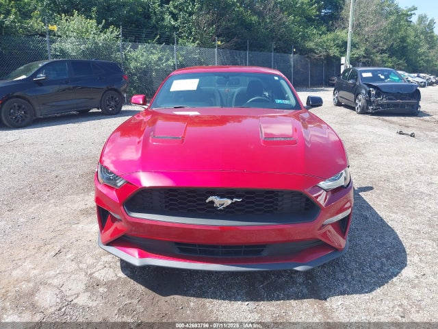 Ford Mustang 2020 1FA6P8TH2L5159251 Image 6