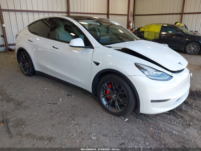 2020 TESLA MODEL Y 5YJYGDEF4LF011608 Photo 0