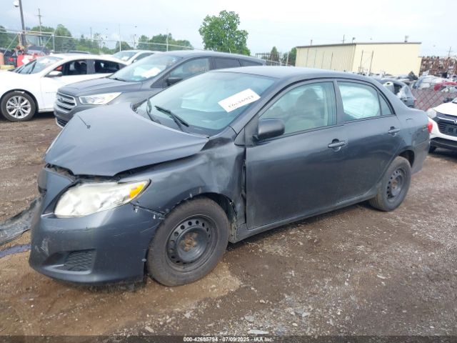 2010 TOYOTA COROLLA 1NXBU4EE9AZ340231 Photo 1