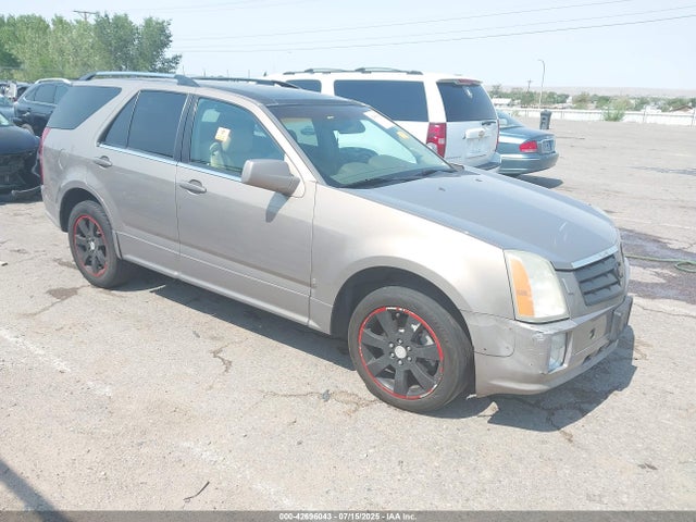 2006 CADILLAC SRX 1GYEE63A960139772 Photo 0