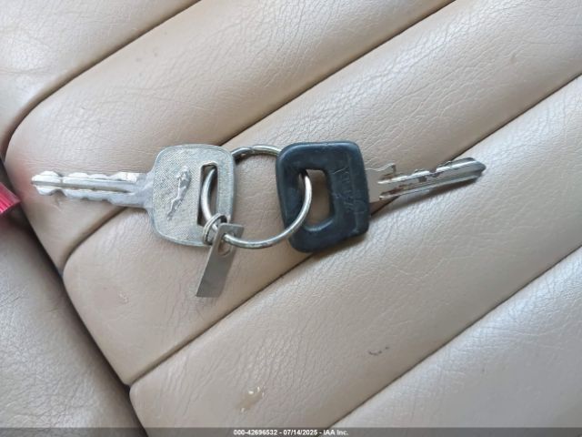 1988 JAGUAR XJS SAJNV5848JC147213 Photo 10
