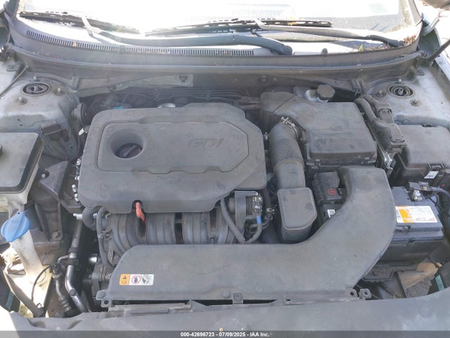 5NPE24AF5HH567443 Hyundai 2017