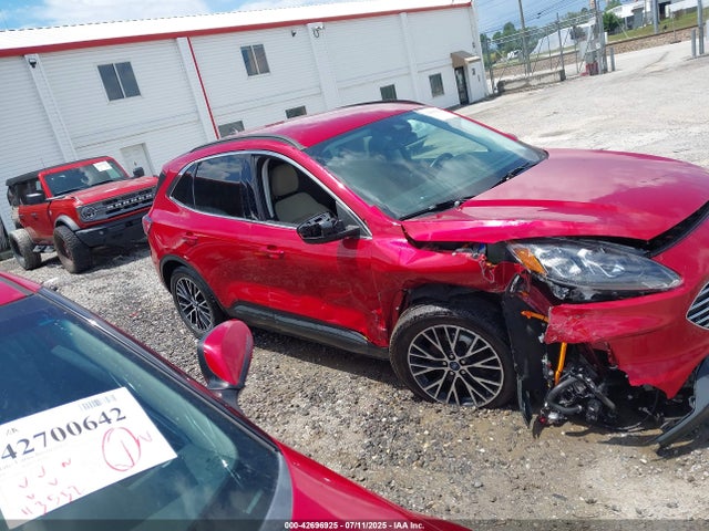 1FMCU0LZ4MUA53273 Ford hev/phev