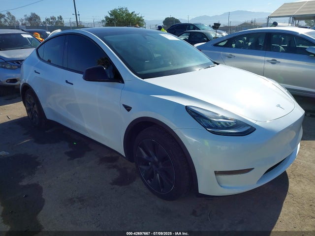 2025 TESLA MODEL Y 7SAYGAEE8SF218428 Photo 0