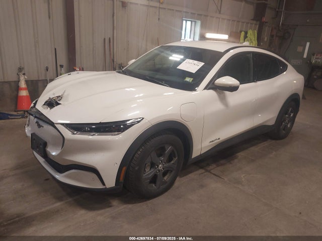 Ford 2021 2021 3FMTK1SS5MMA42240 Image 2