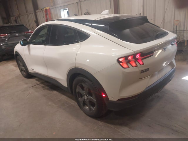 Ford 2021 2021 3FMTK1SS5MMA42240 Image 3