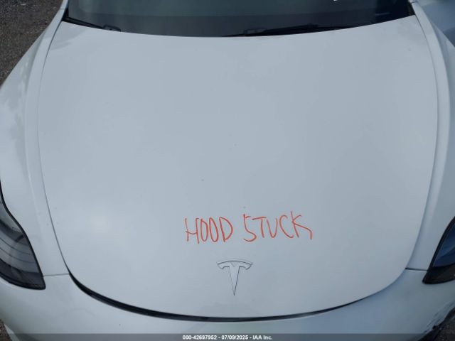 2023 TESLA MODEL 3 5YJ3E1EA6PF555276 Photo 9