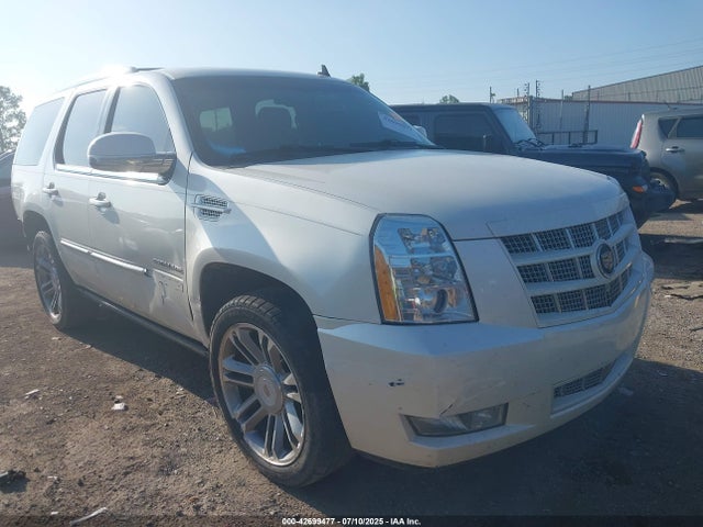 2013 CADILLAC ESCALADE 1GYS4CEF8DR154107 Photo 0