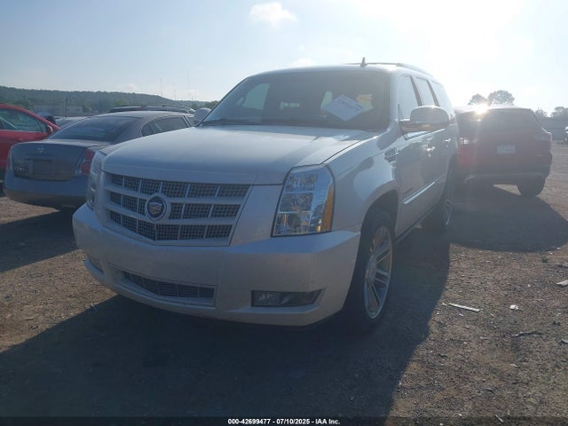 2013 CADILLAC ESCALADE 1GYS4CEF8DR154107 Photo 1