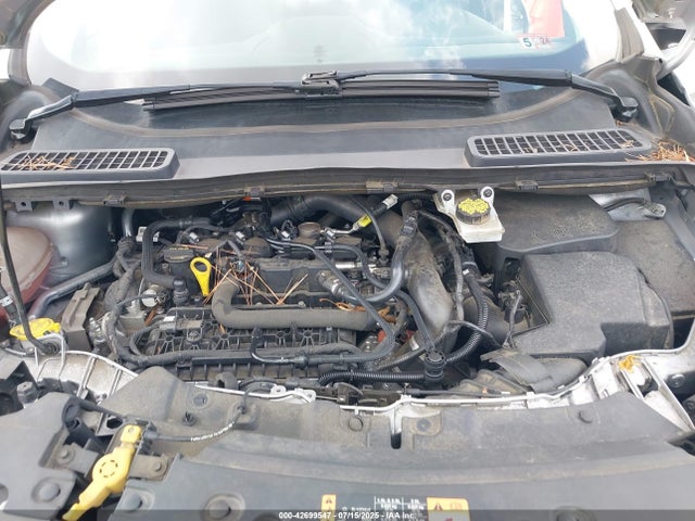 1FMCU0GD9KUA75295 Ford 1.5l gtdi sigma w/premium fuel