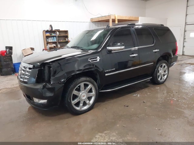 2011 CADILLAC ESCALADE 1GYS4BEF2BR339213 Photo 1