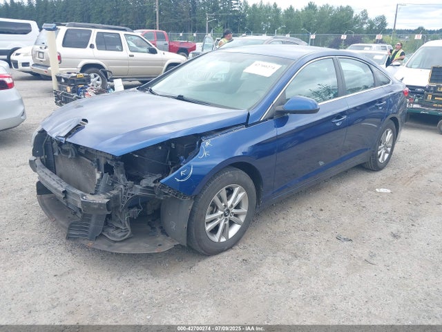 5NPE24AF9HH547308 Hyundai 2017