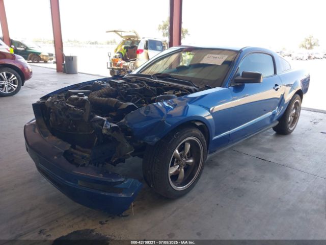 2006 FORD MUSTANG 1ZVFT80N865259338 Photo 1