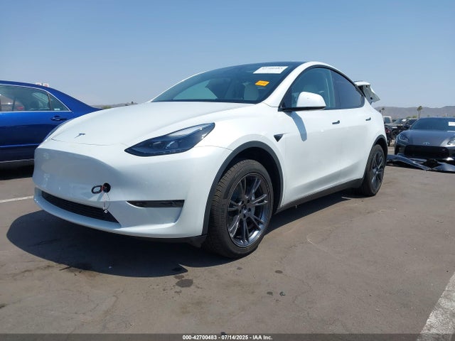 2024 TESLA MODEL Y 7SAYGDED8RF201955 Photo 1