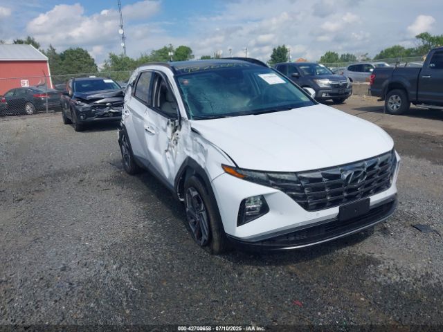 2024 HYUNDAI TUCSON HYBRID KM8JECD17RU139263