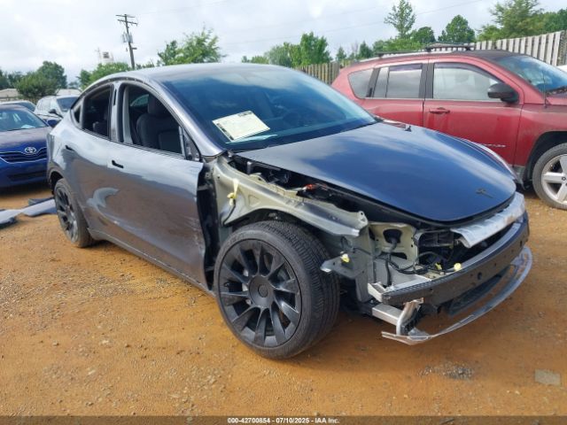 2023 TESLA MODEL Y 7SAYGDEE4PF637093