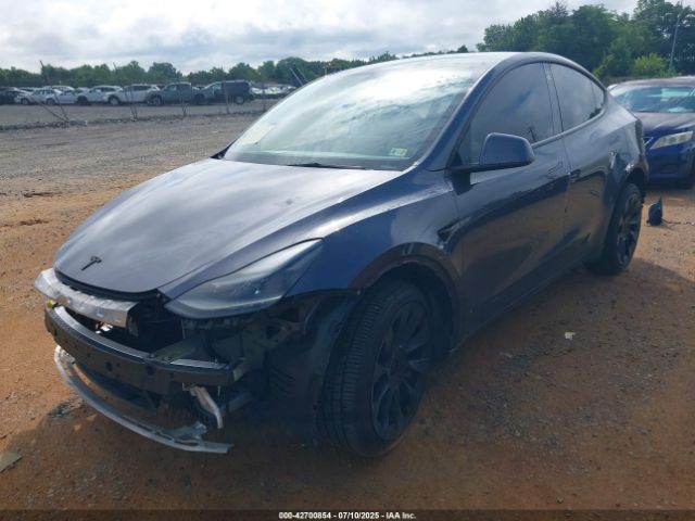 2023 TESLA MODEL Y 7SAYGDEE4PF637093 Photo 1
