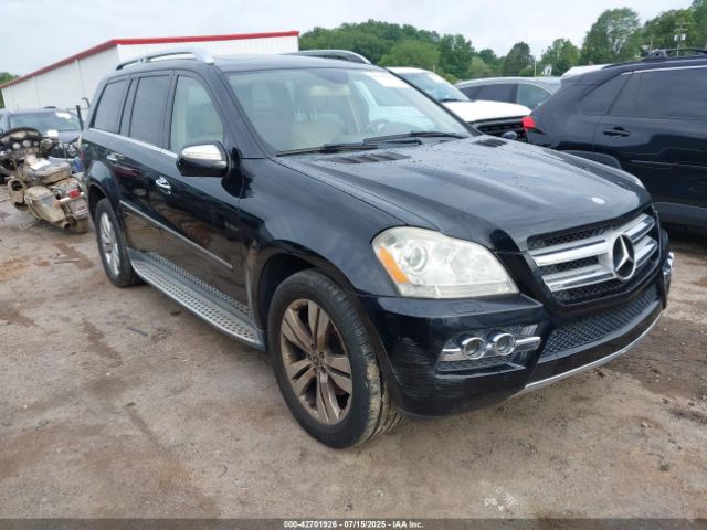 2010 MERCEDES-BENZ GL 450 4JGBF7BE2AA565429