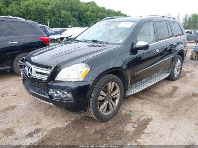 2010 MERCEDES-BENZ GL 450 4JGBF7BE2AA565429 Photo 1