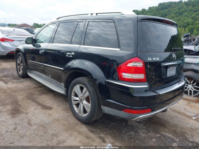 2010 MERCEDES-BENZ GL 450 4JGBF7BE2AA565429 Photo 2