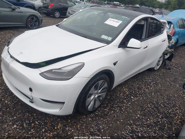 2023 TESLA MODEL Y 7SAYGDEE2PA182516 Photo 1