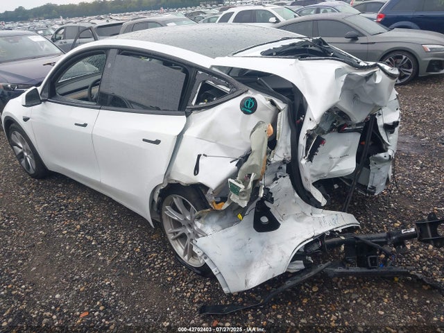2023 TESLA MODEL Y 7SAYGDEE2PA182516 Photo 2