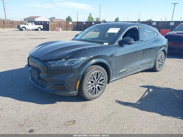 Ford 2024 2024 3FMTK3SU0RMA04855 Image 2