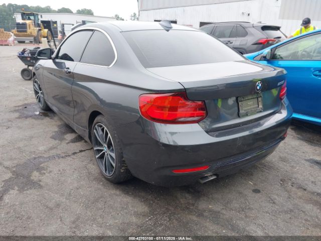 2019 BMW 230I WBA2J1C51K7D52548 Photo 2