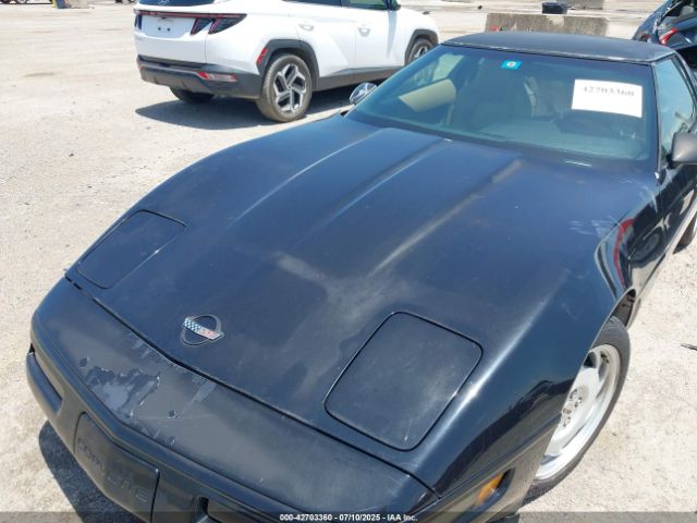 1996 CHEVROLET CORVETTE 1G1YY22P5T5100547 Photo 9