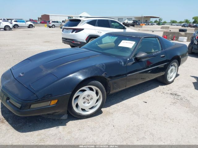1996 CHEVROLET CORVETTE 1G1YY22P5T5100547 Photo 1