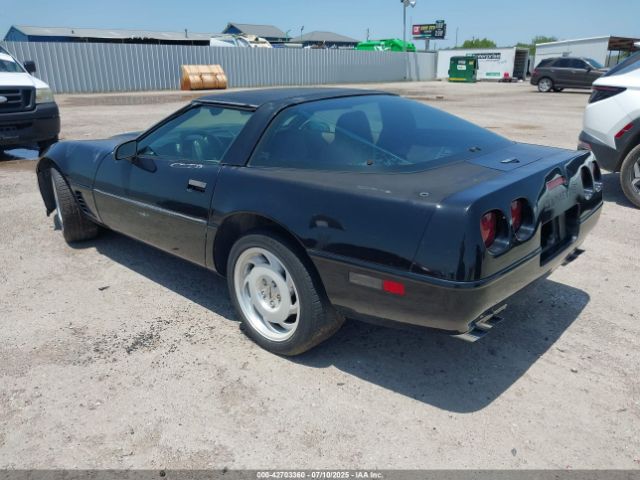 1996 CHEVROLET CORVETTE 1G1YY22P5T5100547 Photo 2