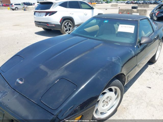 1996 CHEVROLET CORVETTE 1G1YY22P5T5100547 Photo 5