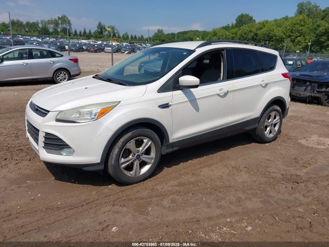 Ford 2014 2014 1FMCU0GX4EUE42781 Image 2