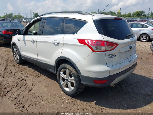Ford 2014 2014 1FMCU0GX4EUE42781 Image 3