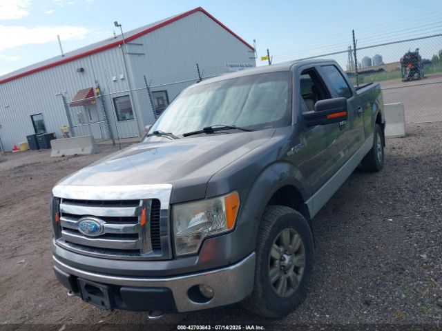 2009 FORD F-150 1FTPW14V99FB34881 Photo 1