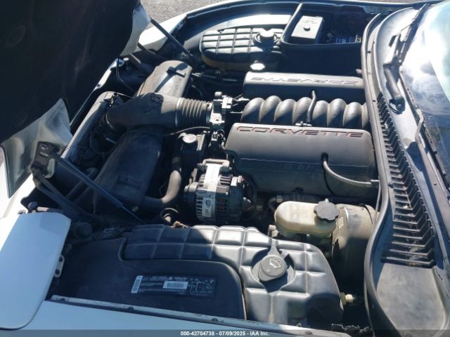 2002 CHEVROLET CORVETTE 1G1YY22G625116299 Photo 9