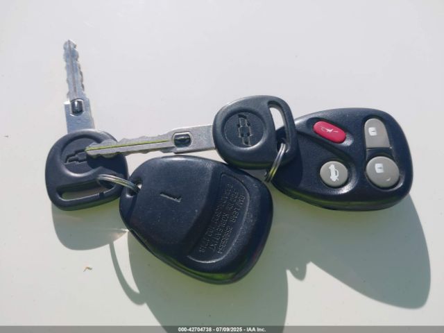 2002 CHEVROLET CORVETTE 1G1YY22G625116299 Photo 10