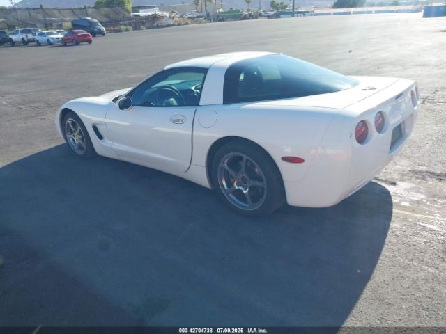 2002 CHEVROLET CORVETTE 1G1YY22G625116299 Photo 2