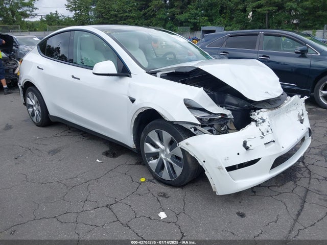 2021 TESLA MODEL Y 5YJYGDEE6MF257813 Photo 0