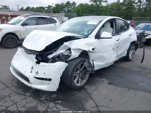 2021 TESLA MODEL Y 5YJYGDEE6MF257813 Photo 1