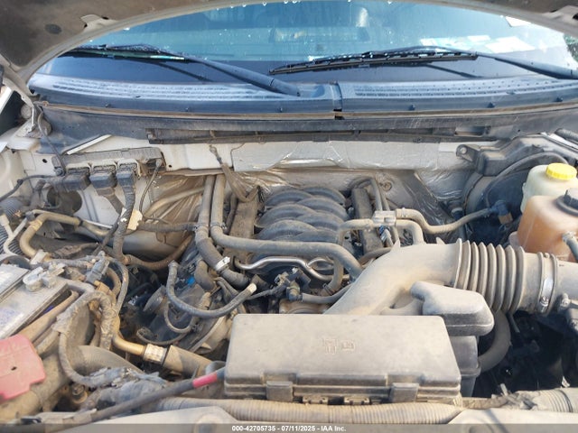 Ford 2014 2014 1FTFW1EF0EFB81231 Image 10