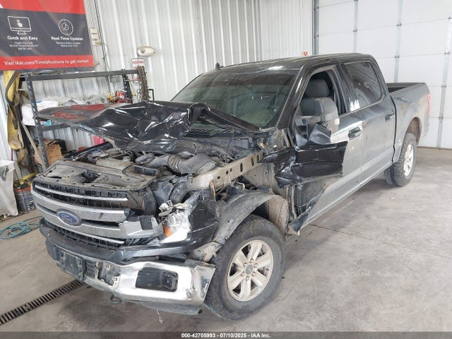 Ford 5.0l 4v 2020 1FTEW1E51LFA26669 Image 2