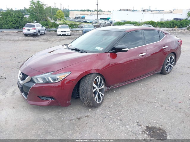 1N4AA6APXHC455678 Nissan Maxima