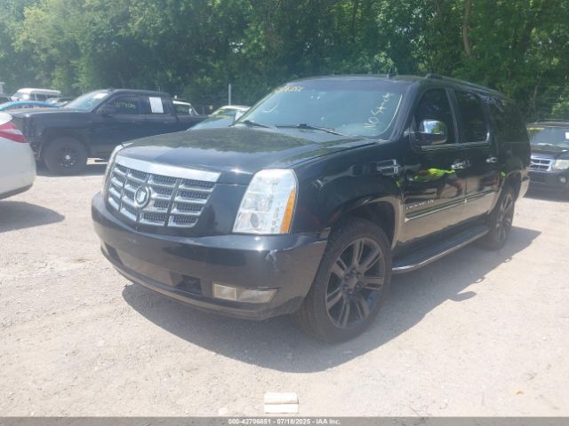 2011 CADILLAC ESCALADE ESV 1GYS4HEF9BR151601 Photo 1