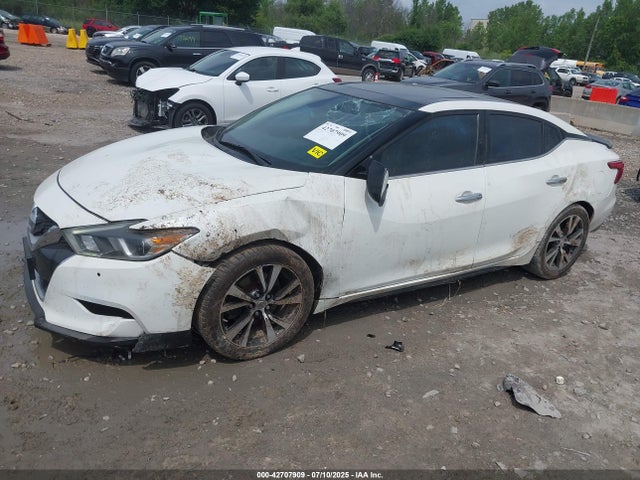 Nissan Maxima 2016 1N4AA6AP8GC903009 Image 2