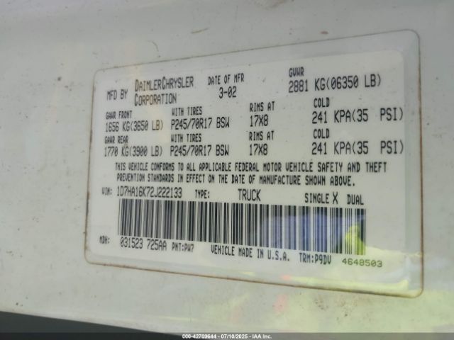 2002 DODGE RAM 1500 1D7HA16K72J222133 Photo 8