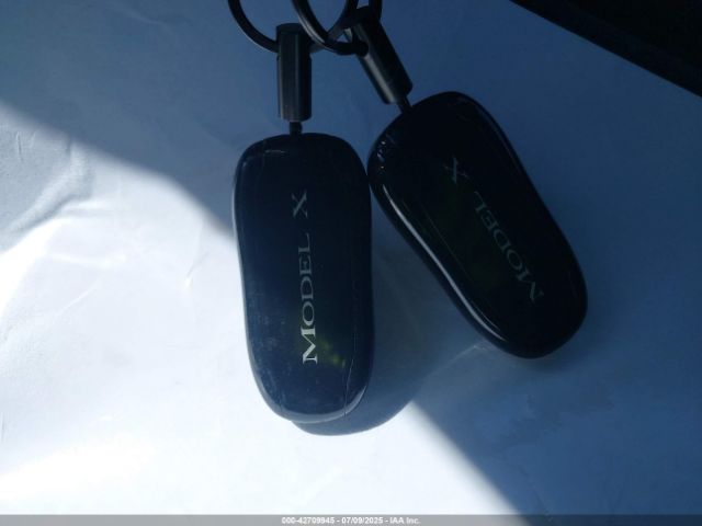 2016 TESLA MODEL X 5YJXCBE40GF001366 Photo 10