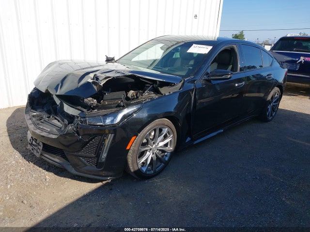 1G6DP5RK5L0125534 Cadillac lsy